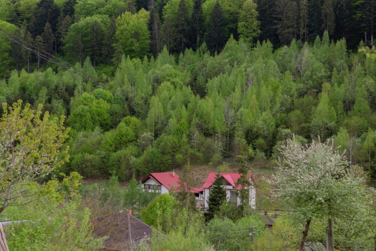 Kamyanka Villa Yaremche Exterior photo